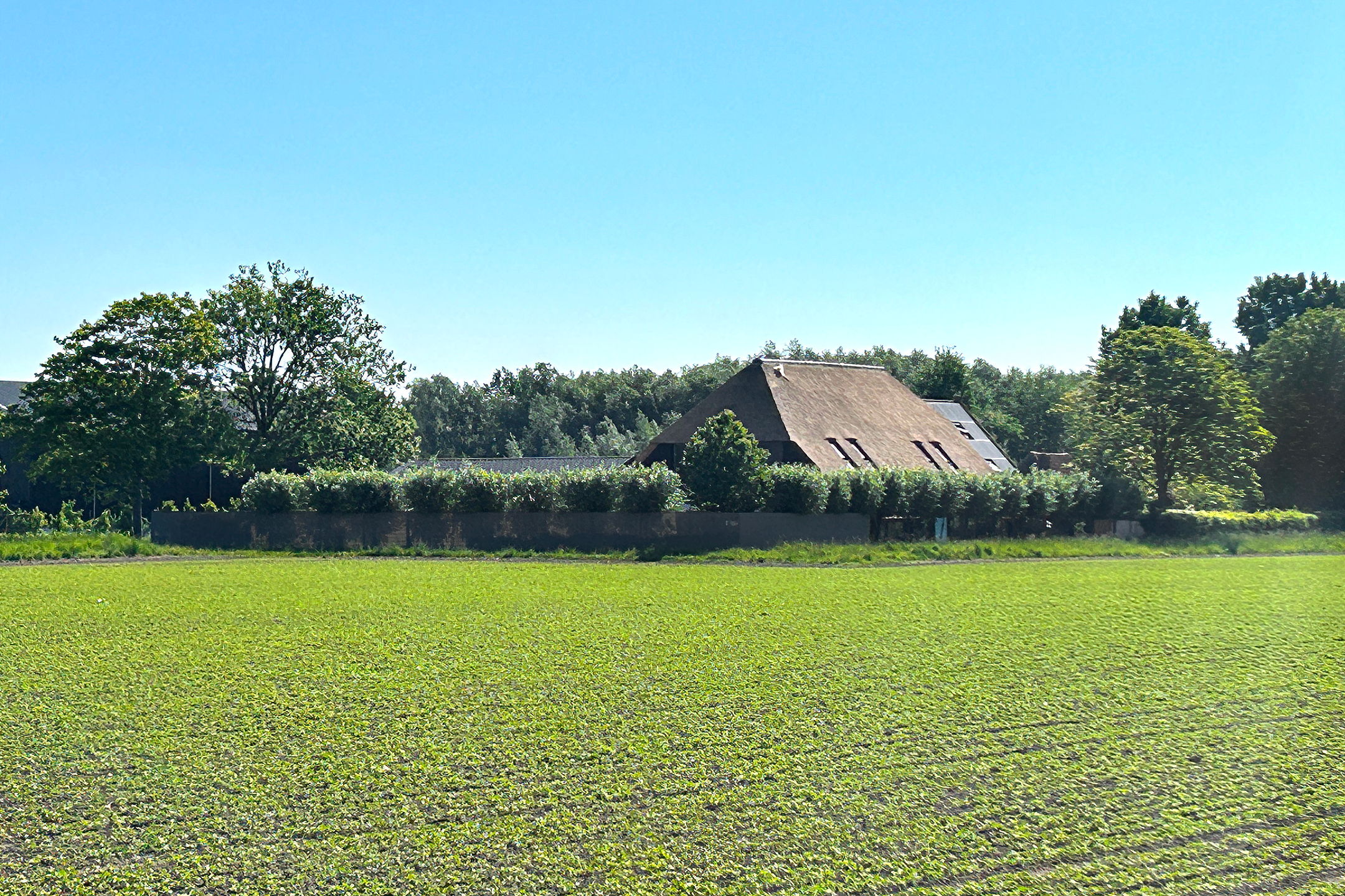 Photo 36 of Zuidlangeweg 6-B