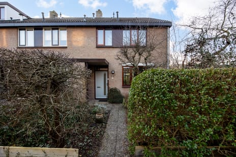 Vogelwaarde thumbnail