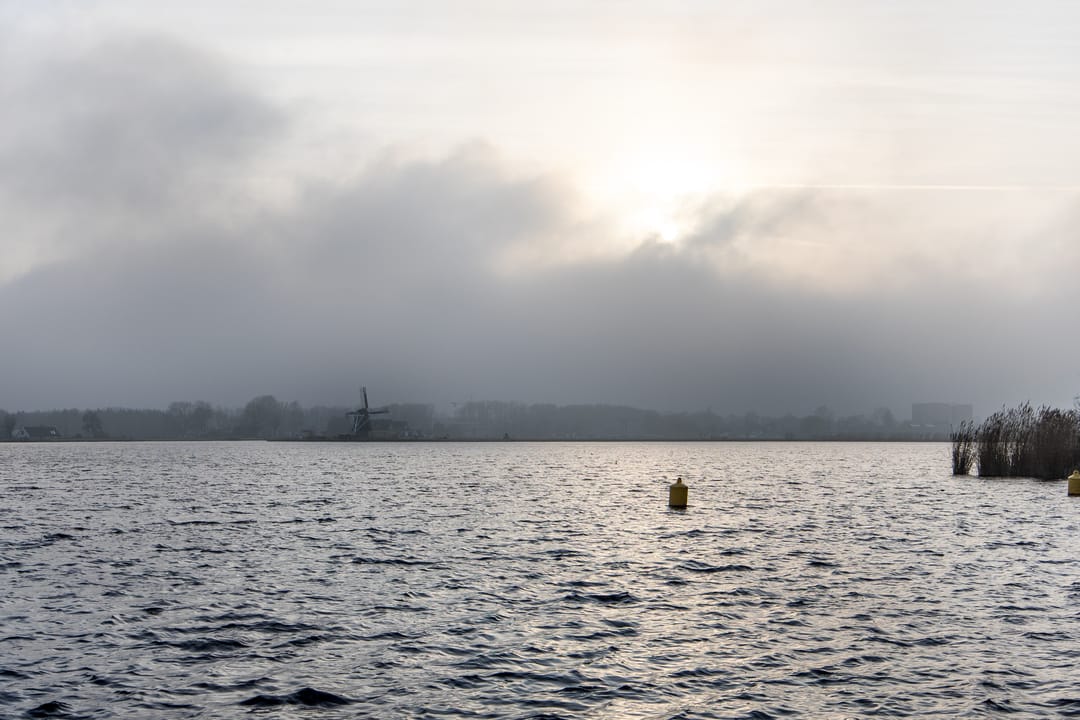 Foto 23 van Vogelwaarde 61