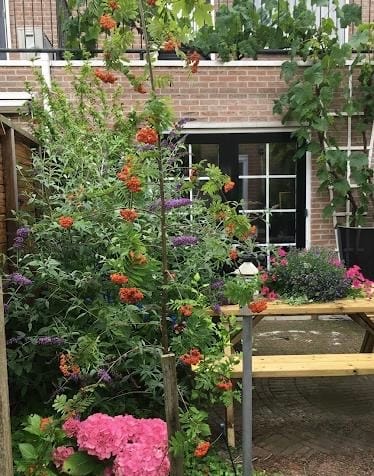 Foto 39 van Veenmos 11