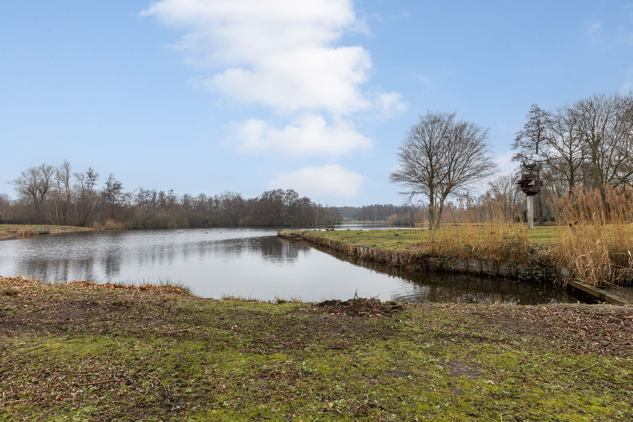 Photo 3 of Lambertijnenlaan 91