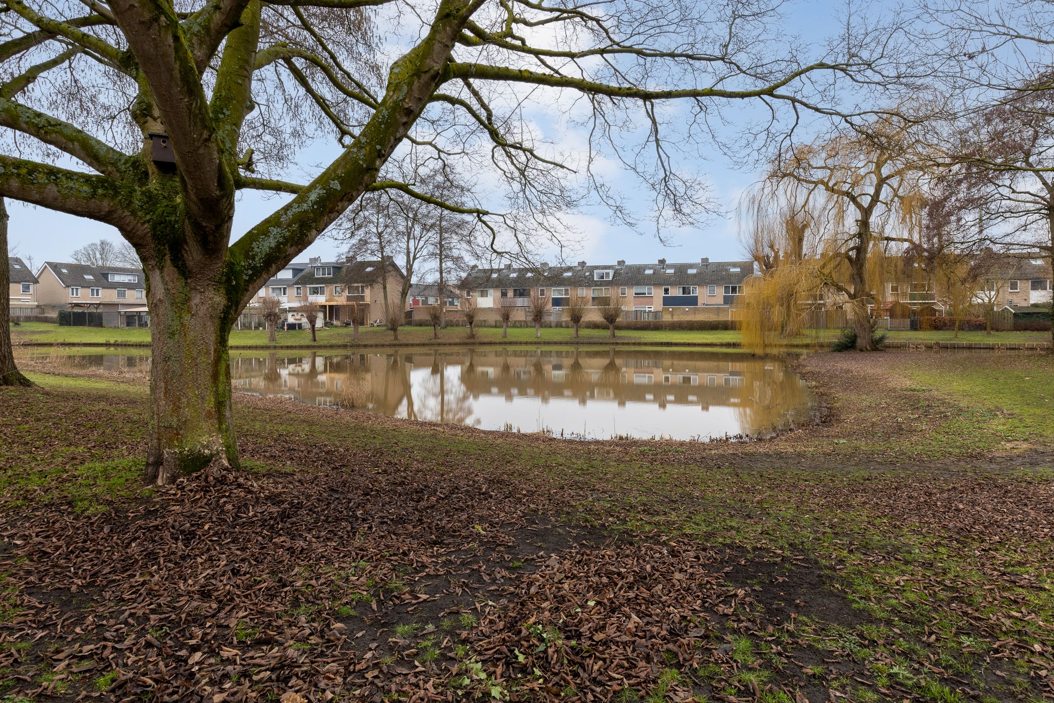 Photo 36 of Lambertijnenlaan 91