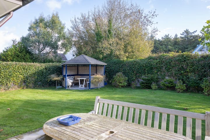 Foto 3 van Orchismient 1