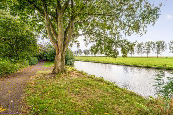 Foto 43 van De Zon 40