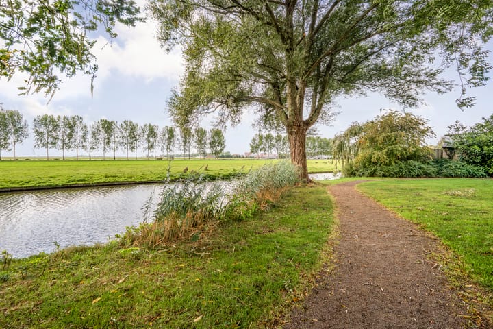 Foto 42 van De Zon 40