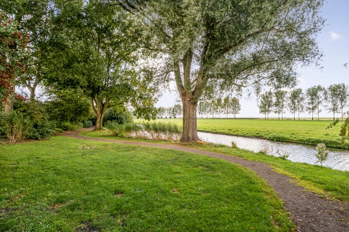 Foto 44 van De Zon 40