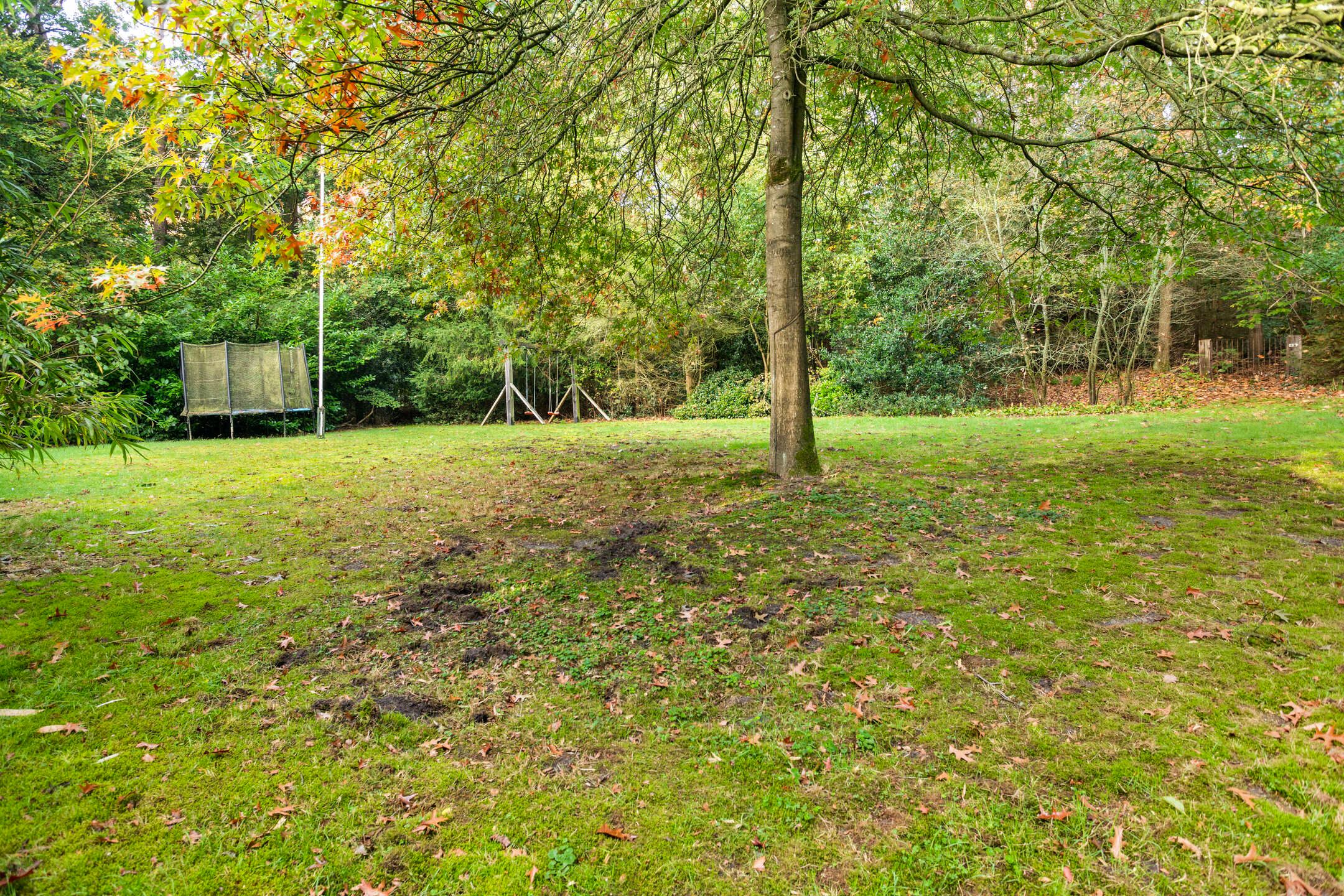 Foto 45 van Groteweg 37