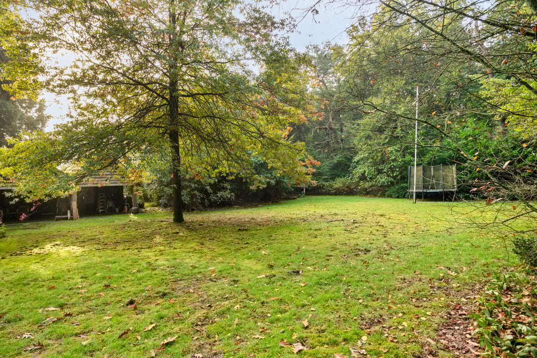 Foto 46 van Groteweg 37