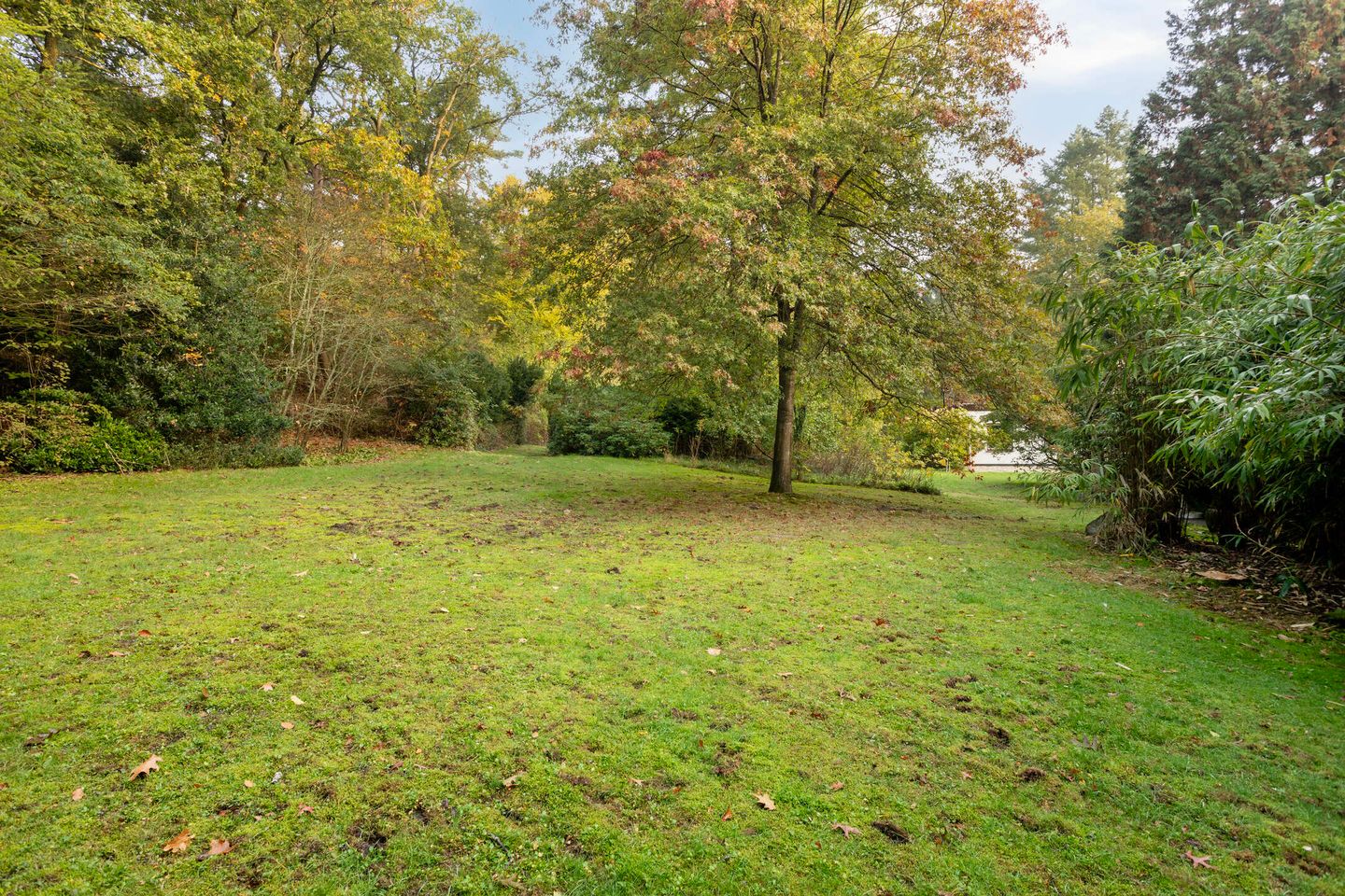 Foto 49 van Groteweg 37