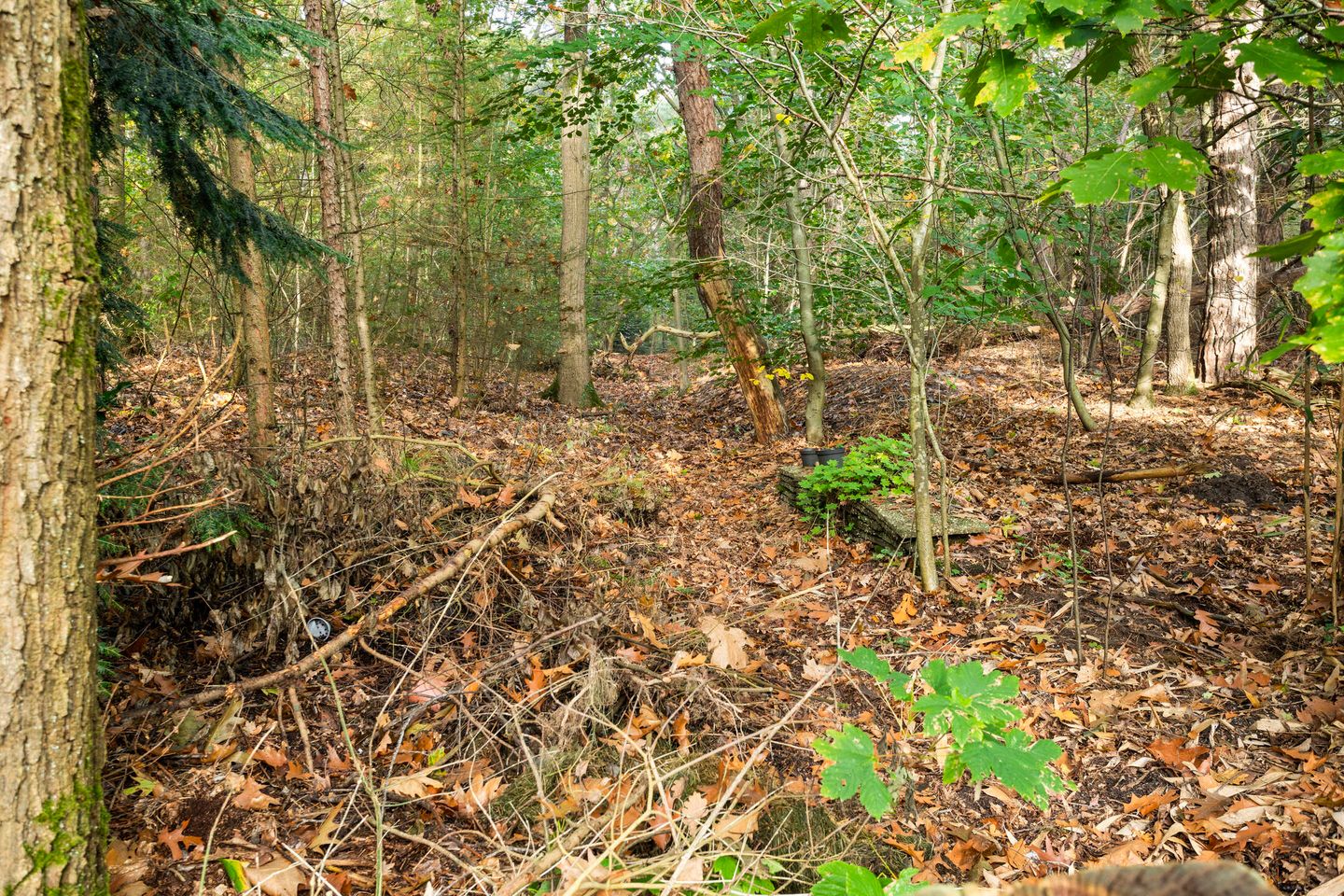 Foto 55 van Groteweg 37