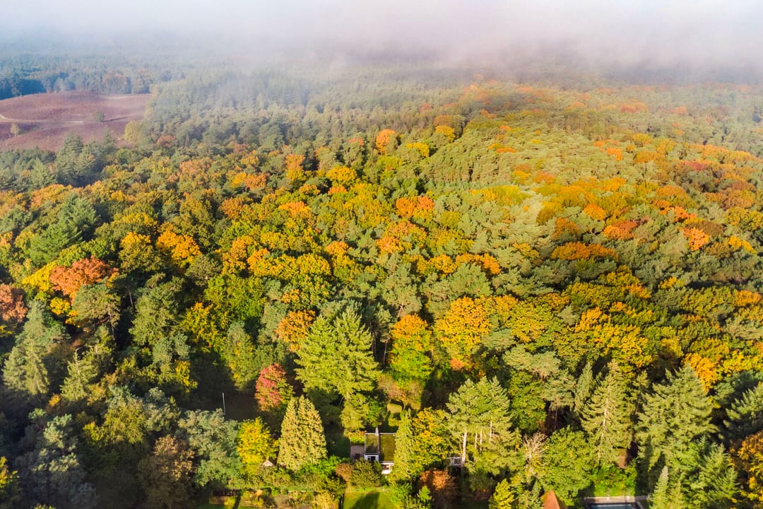 Foto 56 van Groteweg 37