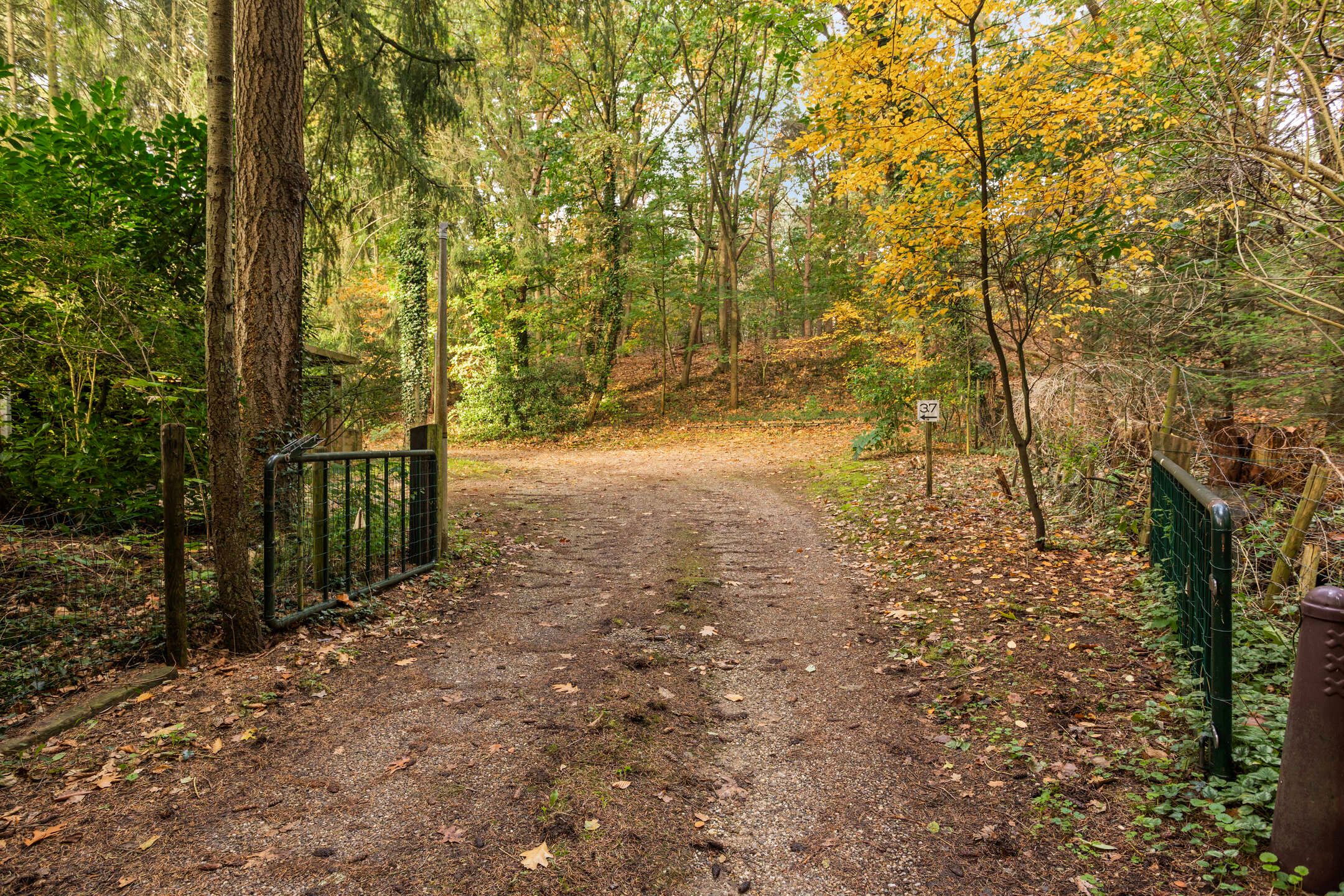 Foto 57 van Groteweg 37