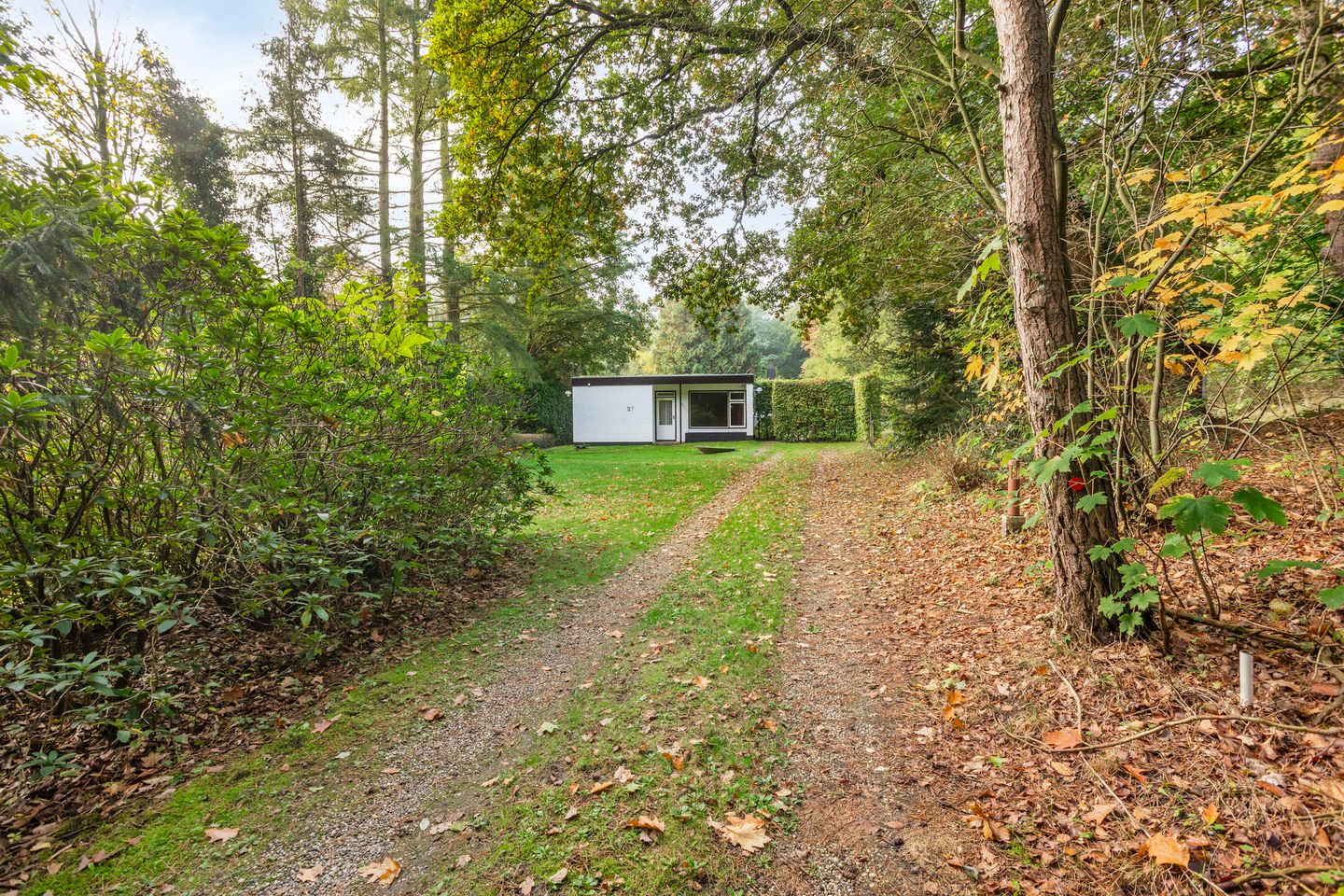 Foto 59 van Groteweg 37