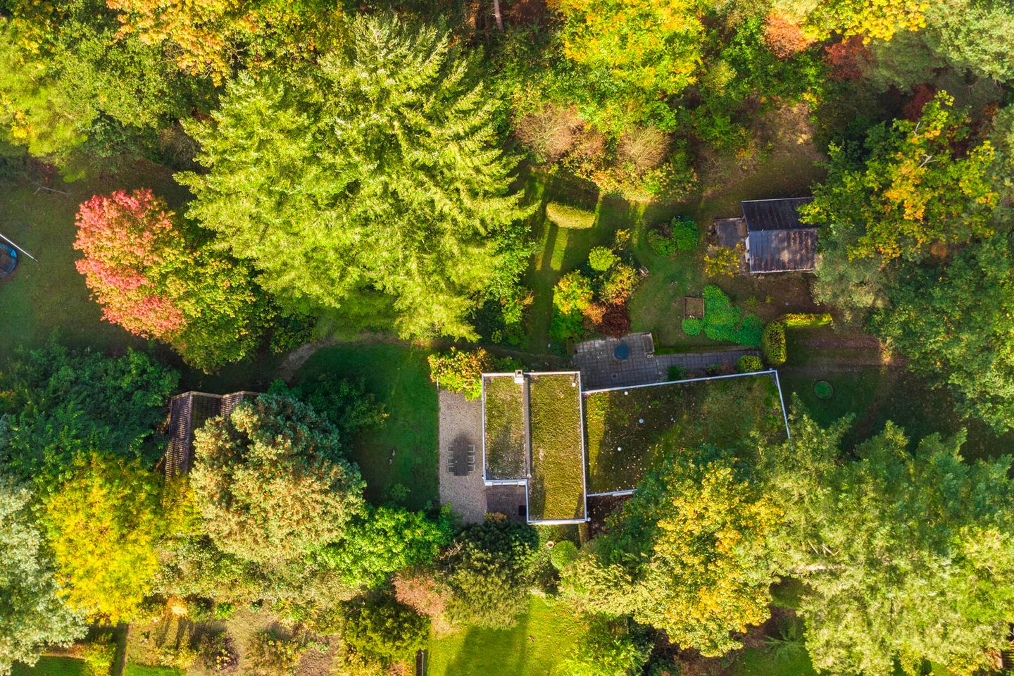 Foto 64 van Groteweg 37