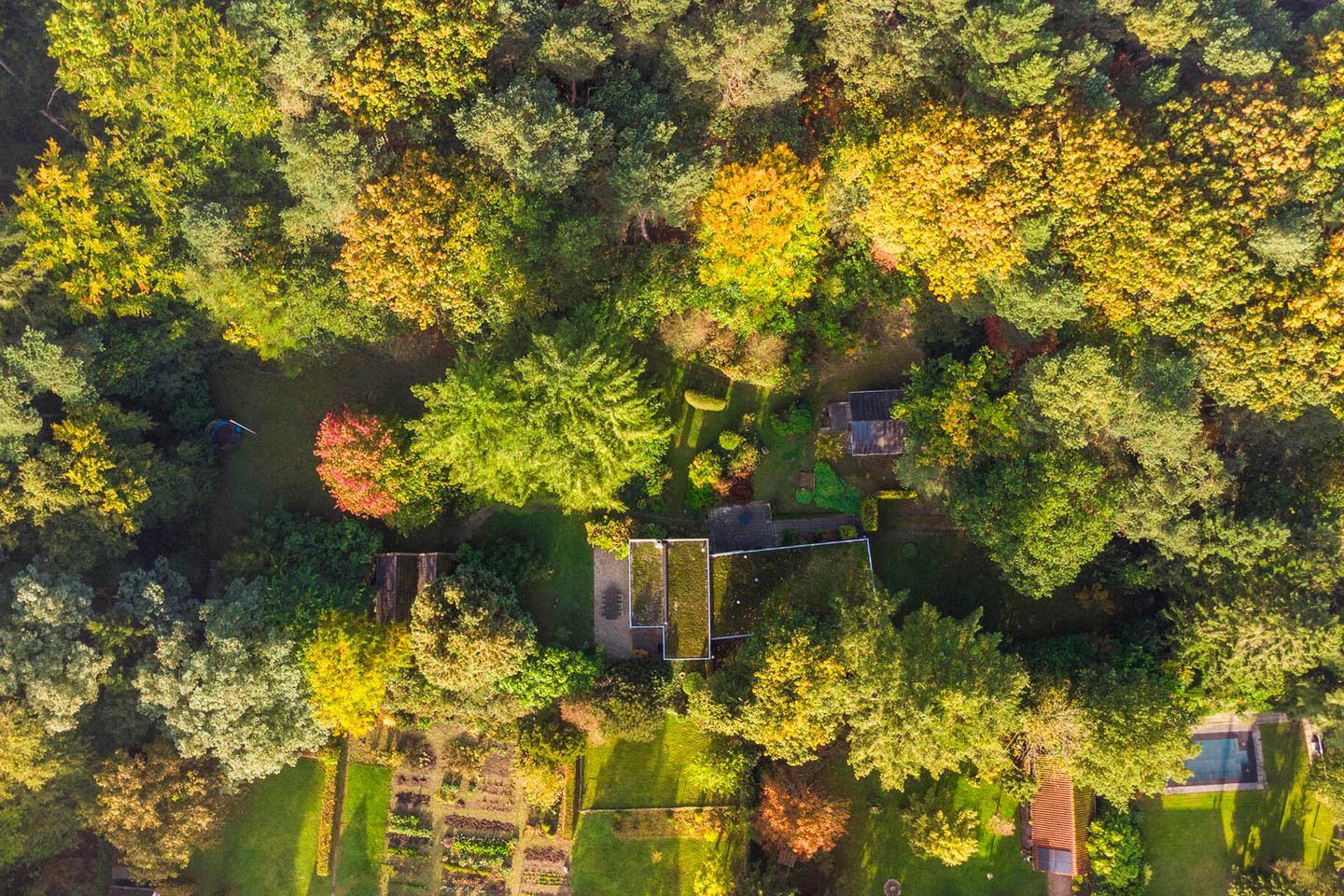 Foto 65 van Groteweg 37