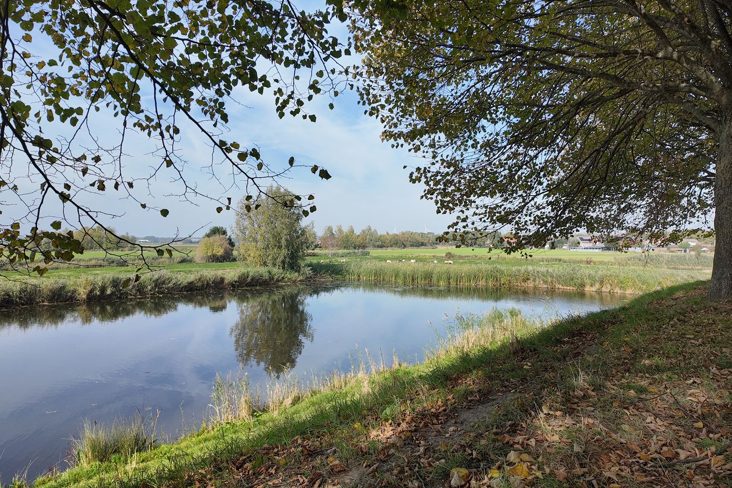 Photo 65 of Verlaatstraat 34