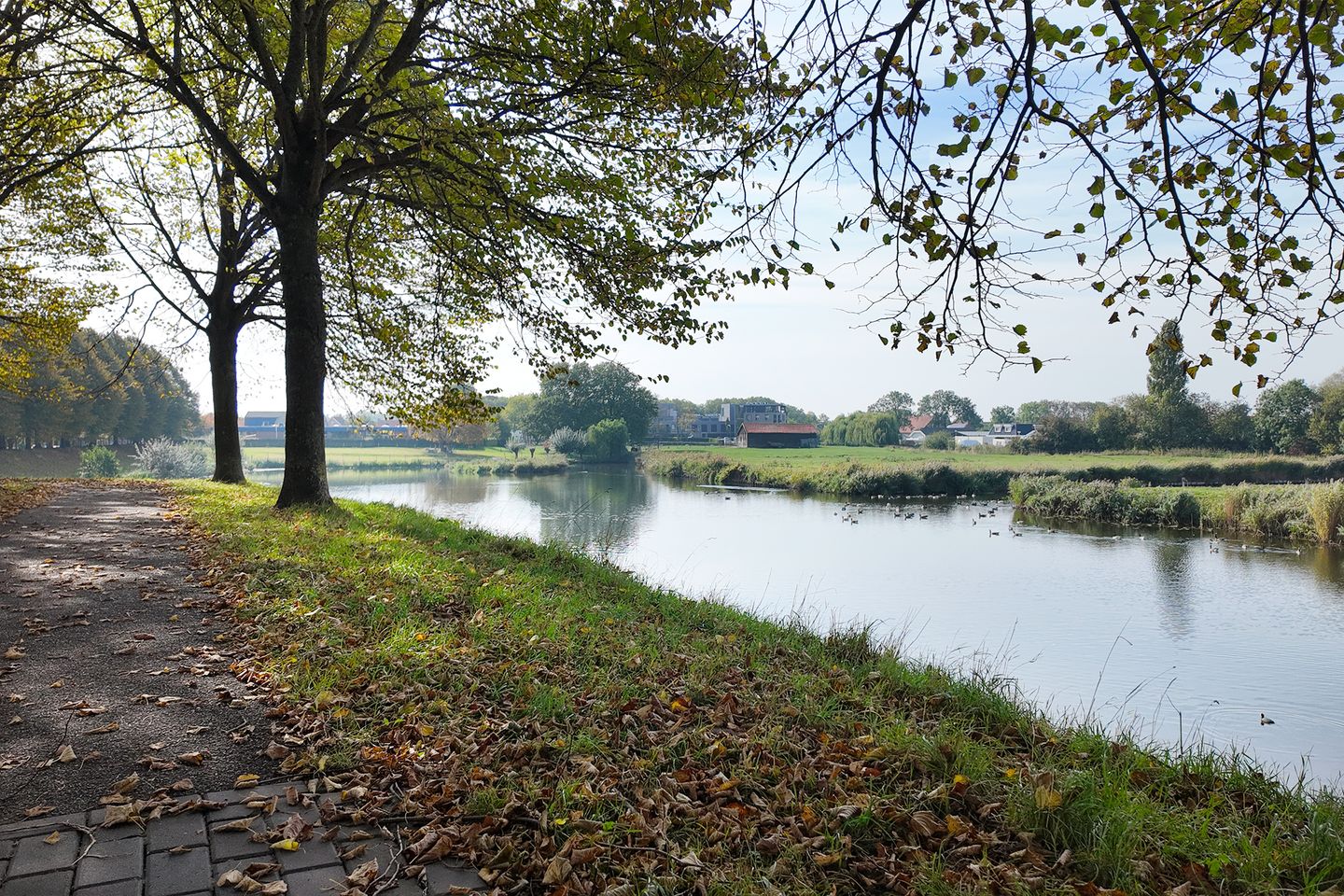 Photo 64 of Verlaatstraat 34