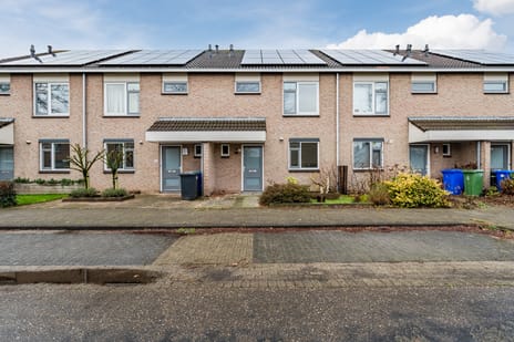 undefined main image