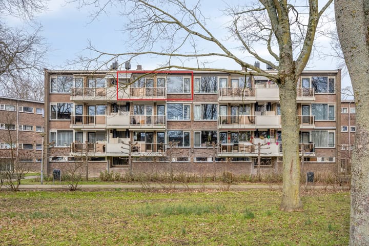 Julianaplantsoen 252