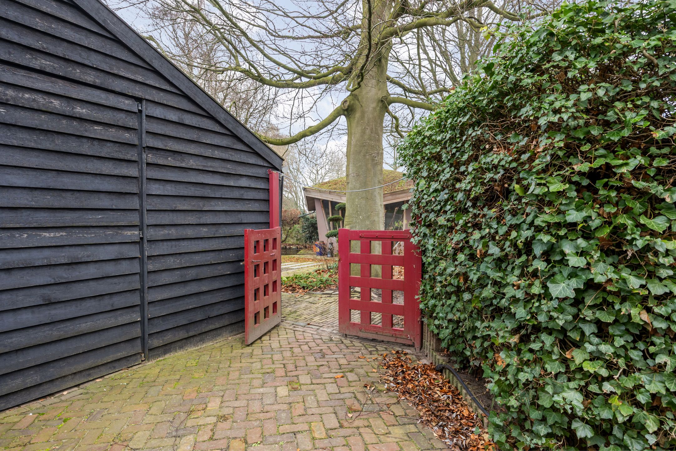 Foto 99 van Molenstraat 46