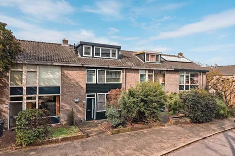 undefined main image