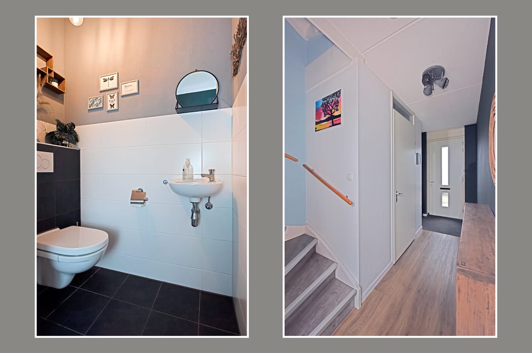 Foto 16 van Liguster 10