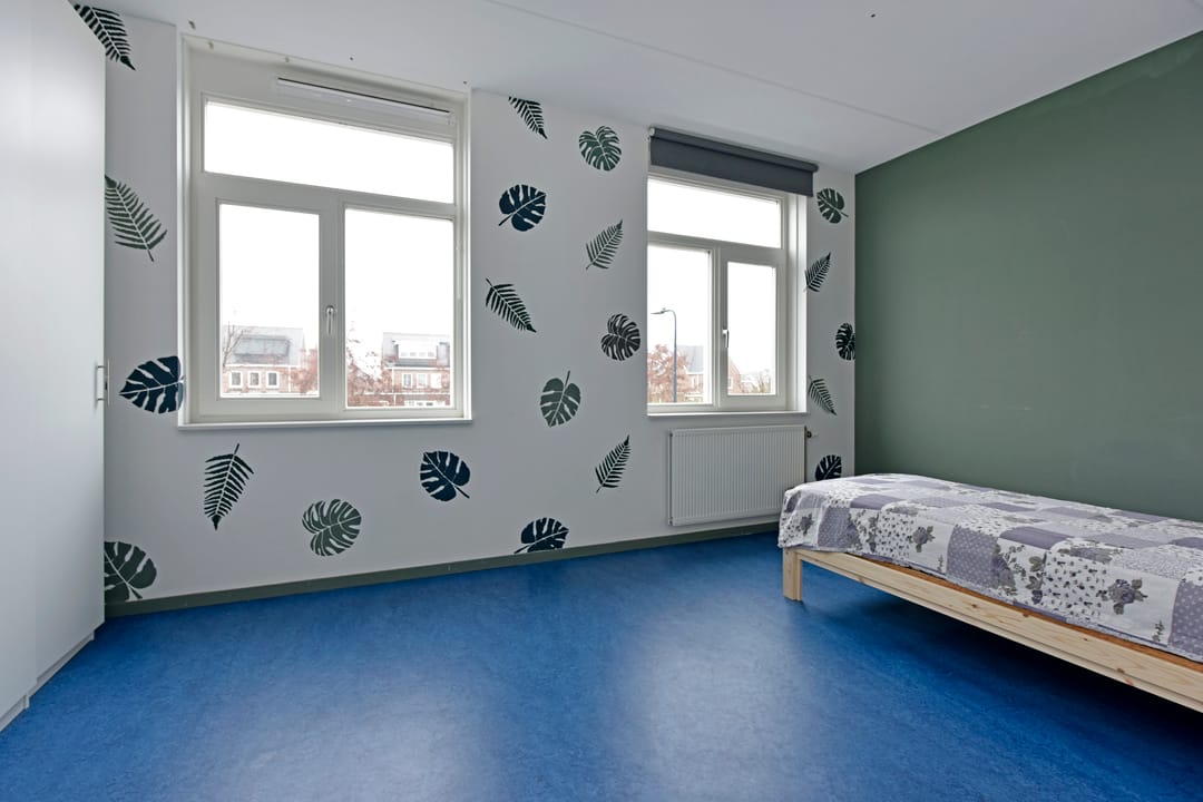 Foto 17 van Liguster 10