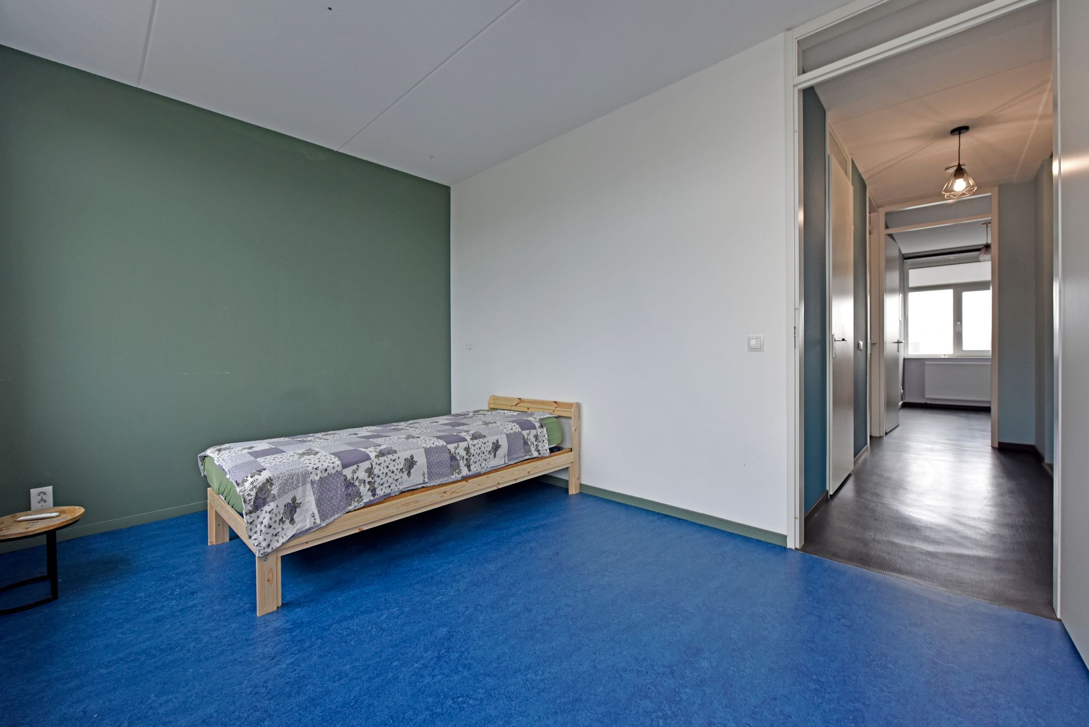 Foto 18 van Liguster 10