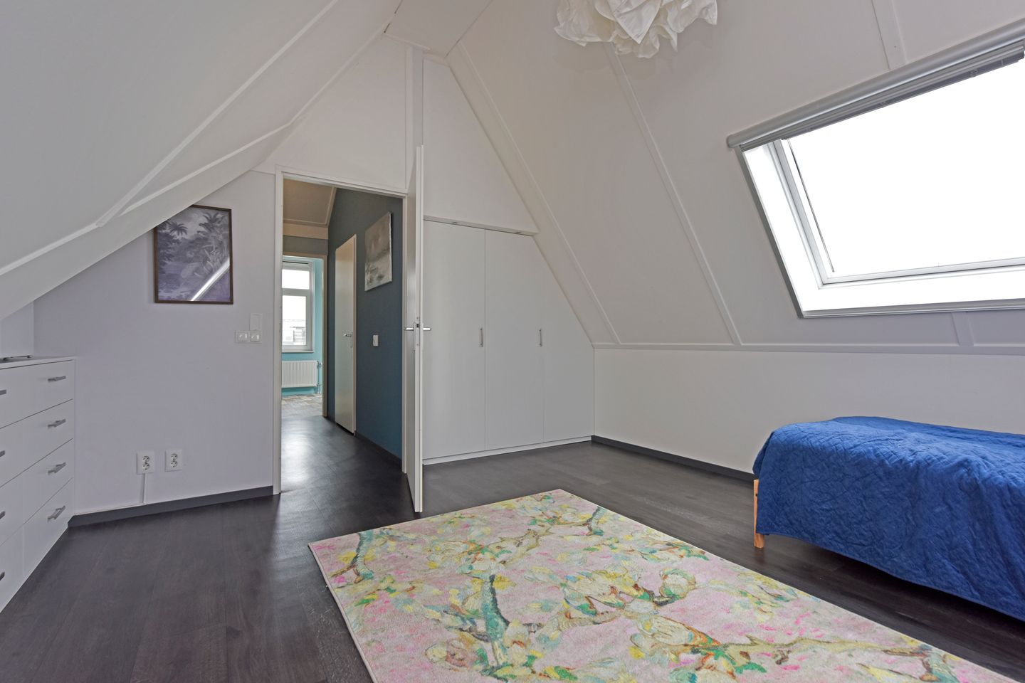 Foto 25 van Liguster 10