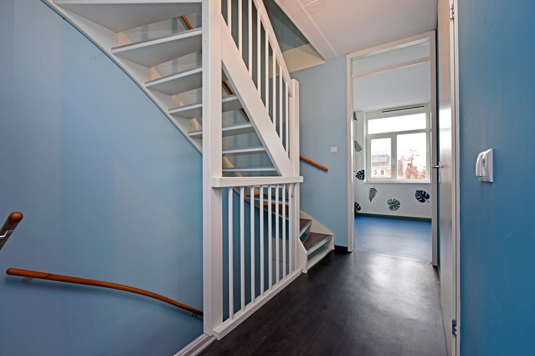 Foto 23 van Liguster 10