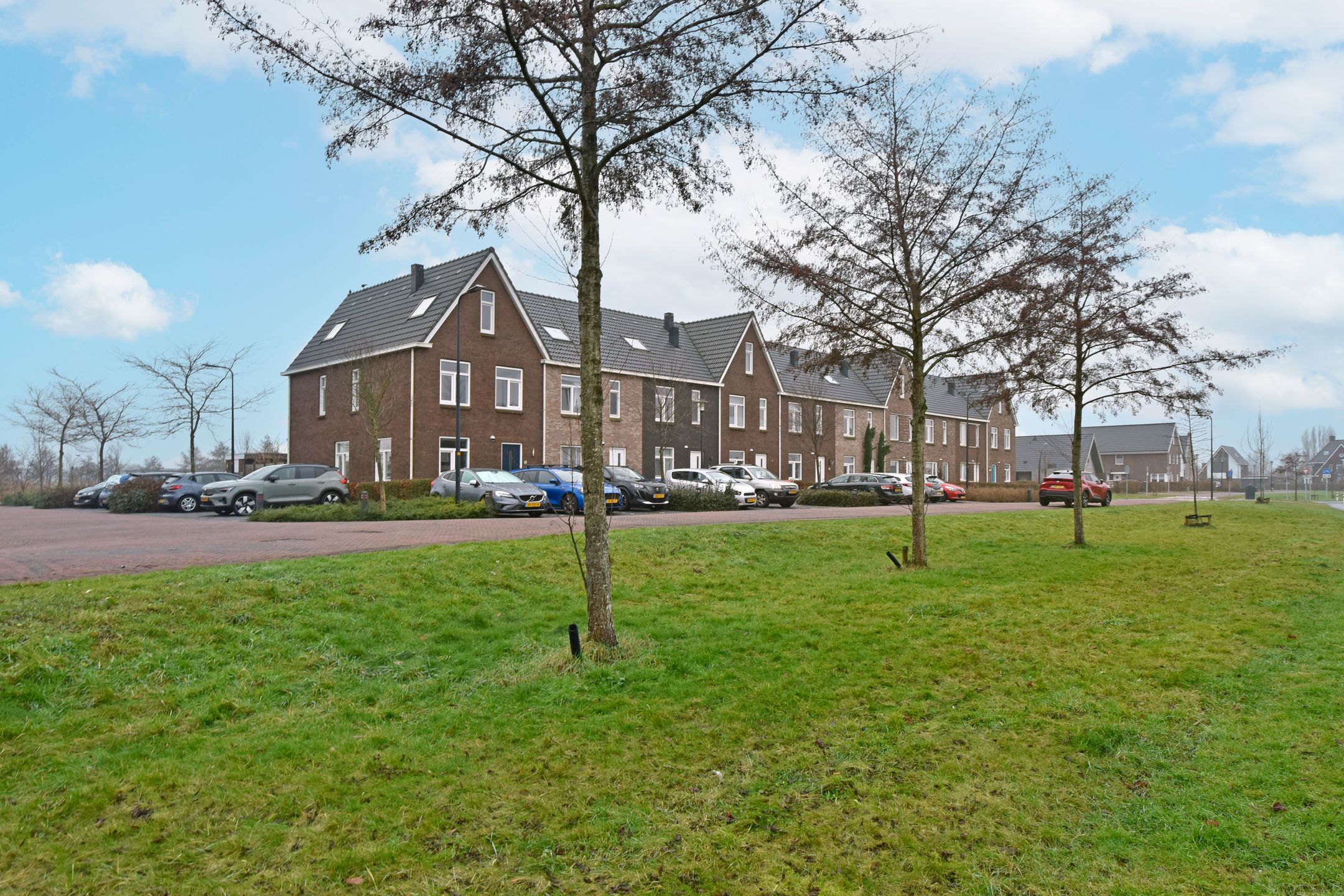 Foto 3 van Liguster 10