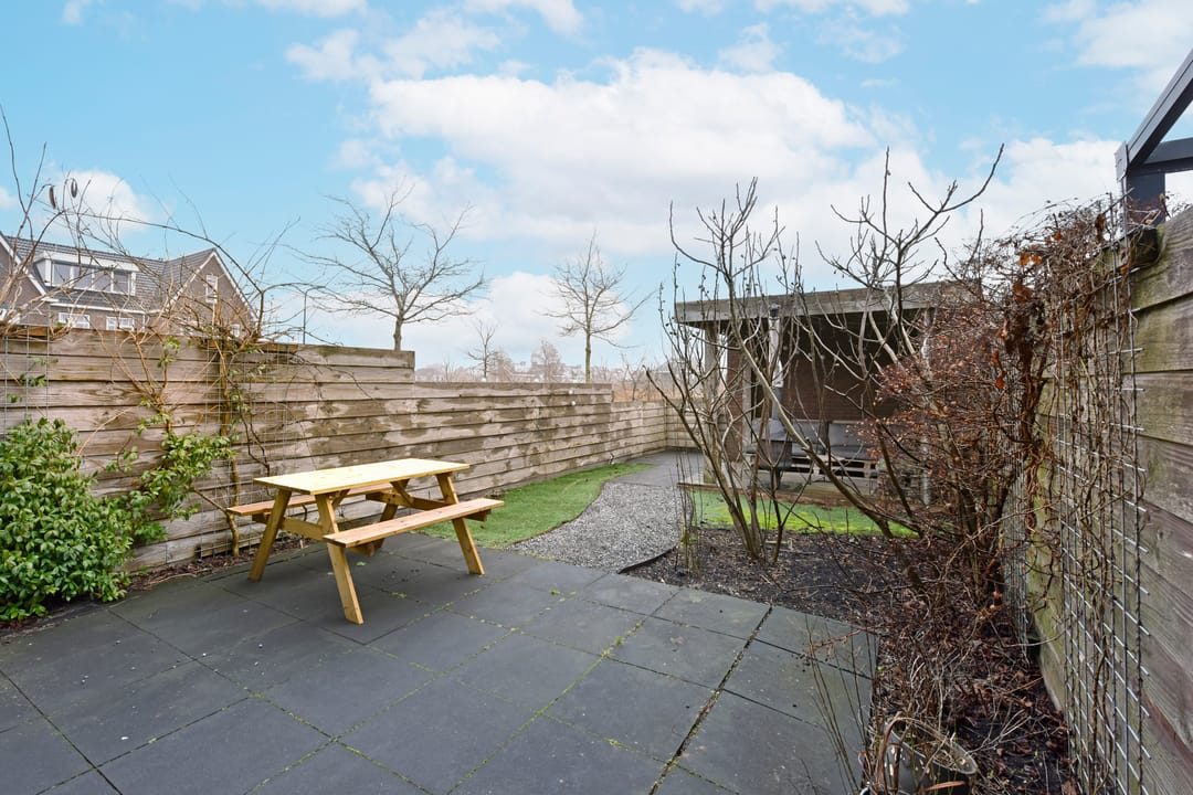 Foto 32 van Liguster 10