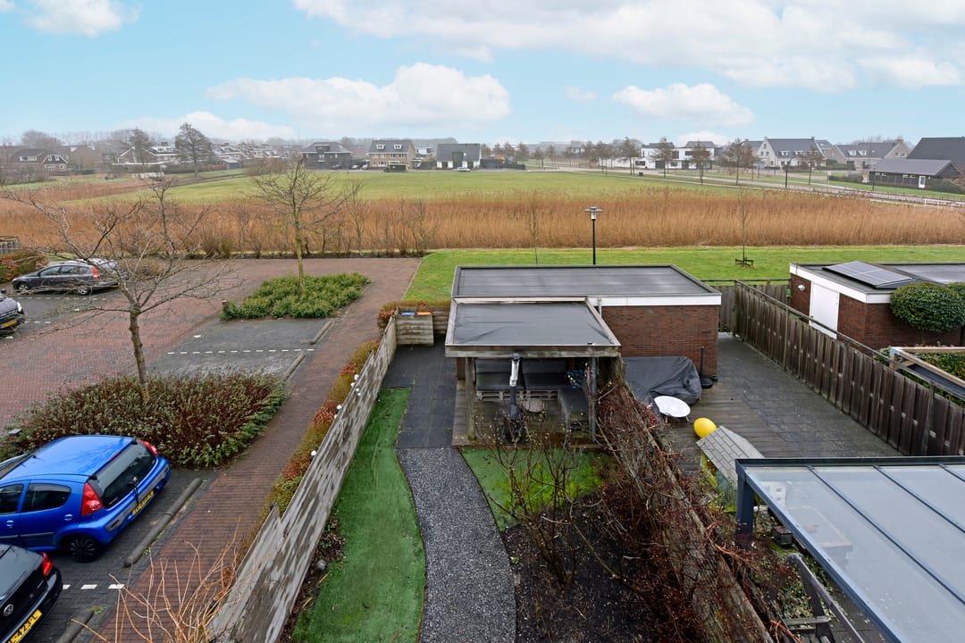 Foto 2 van Liguster 10