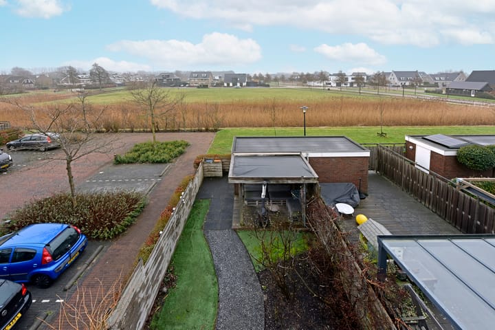 Photo 2 of Liguster 10