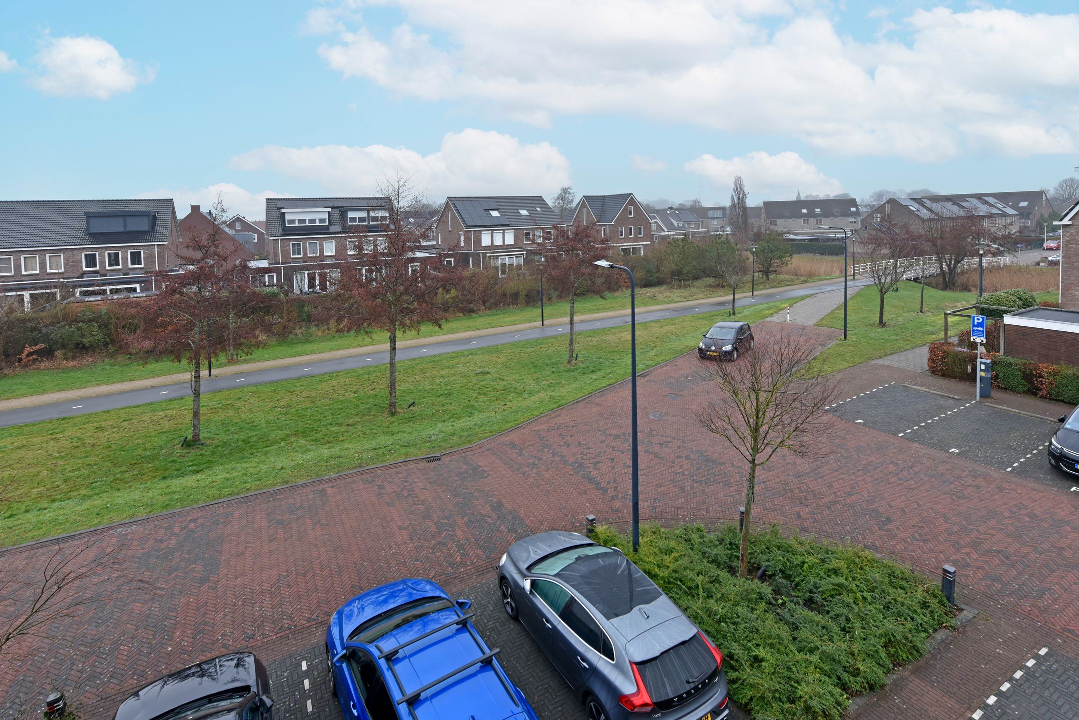 Foto 33 van Liguster 10