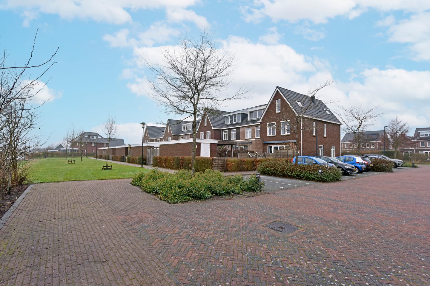 Foto 35 van Liguster 10