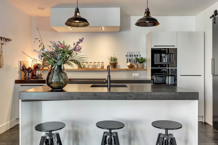 Foto 9 van Zilverkarper 4