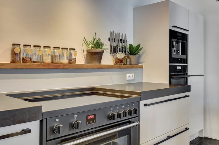 Foto 8 van Zilverkarper 4