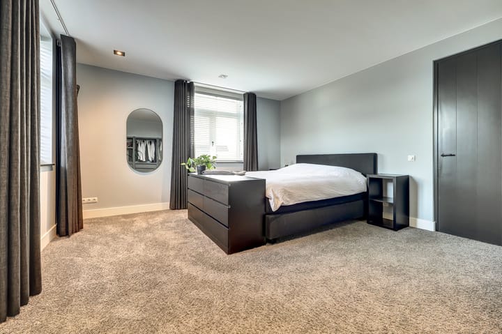 Foto 21 van Zilverkarper 4