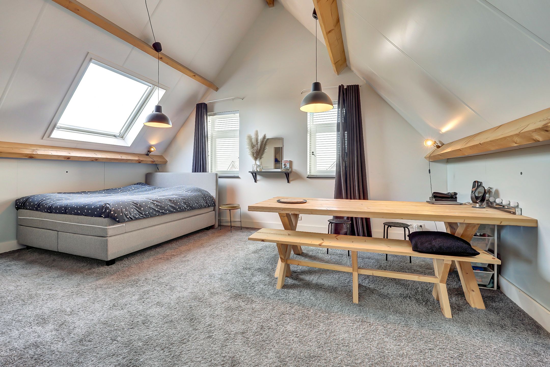 Foto 33 van Zilverkarper 4