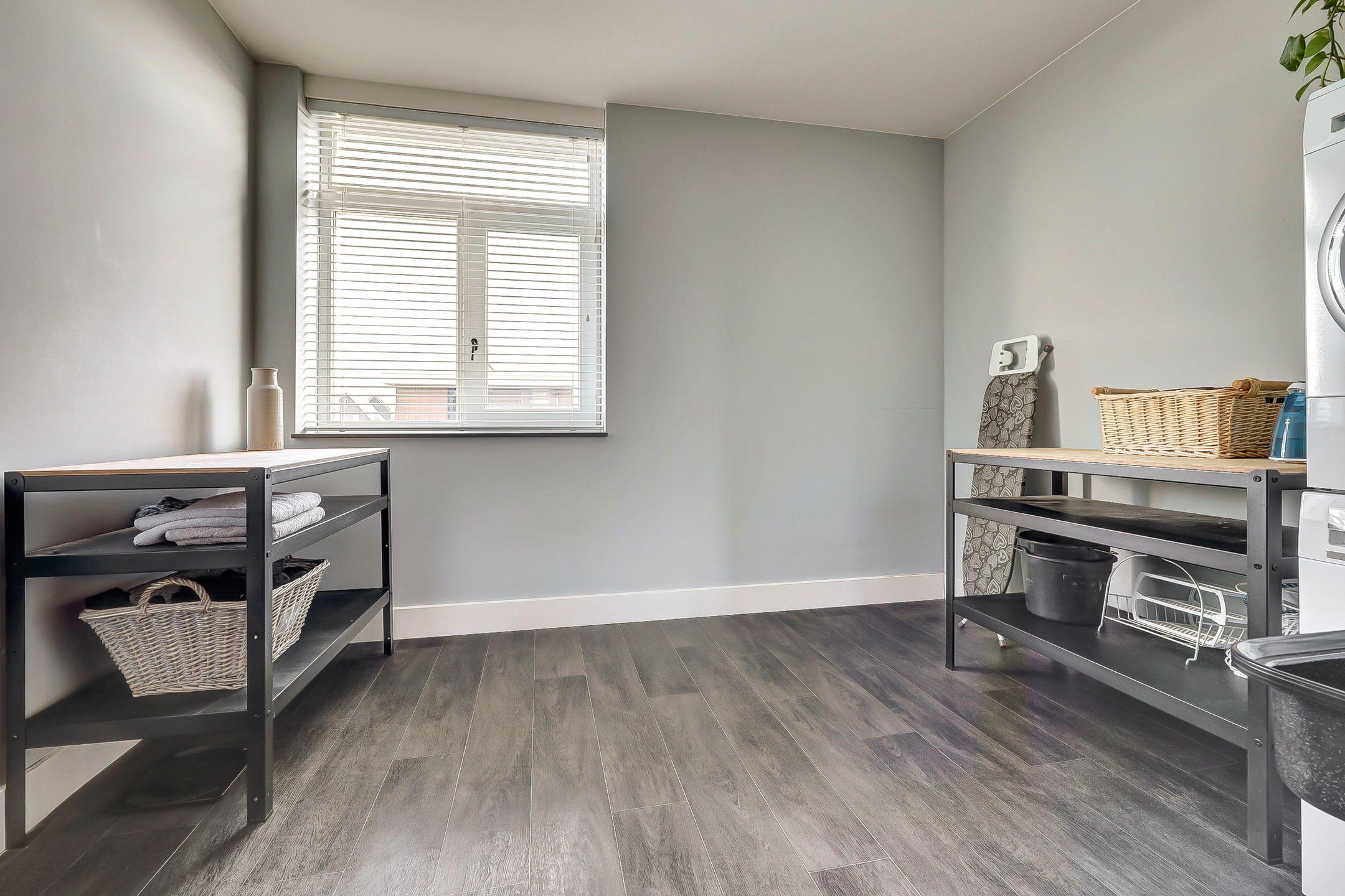 Foto 30 van Zilverkarper 4