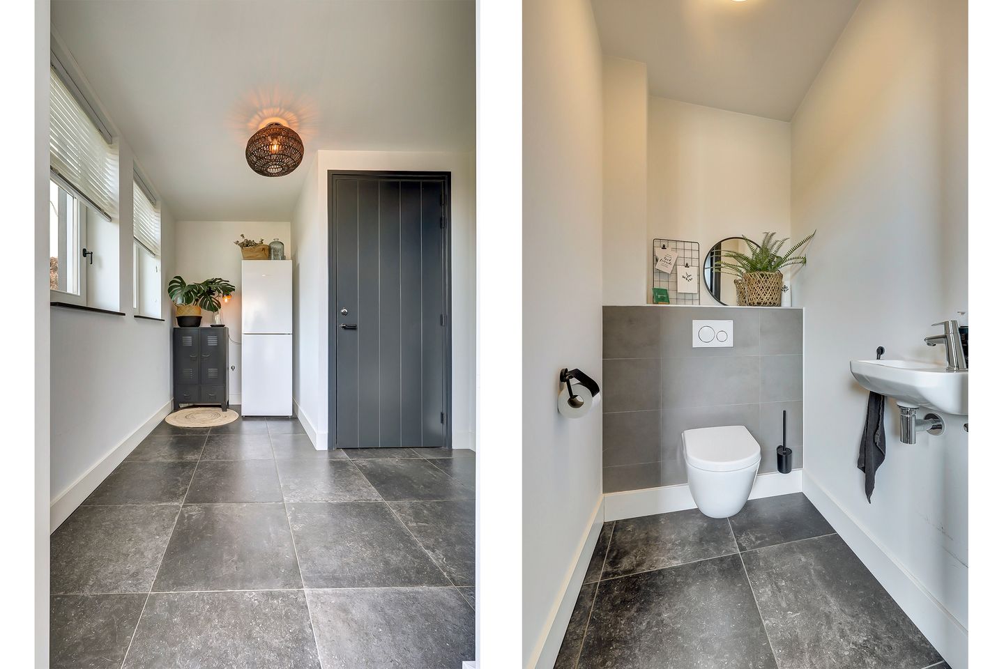 Foto 19 van Zilverkarper 4