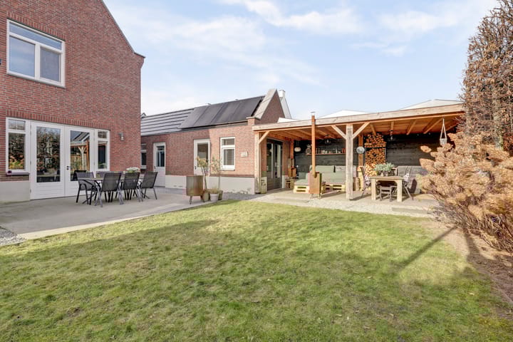 Foto 41 van Zilverkarper 4