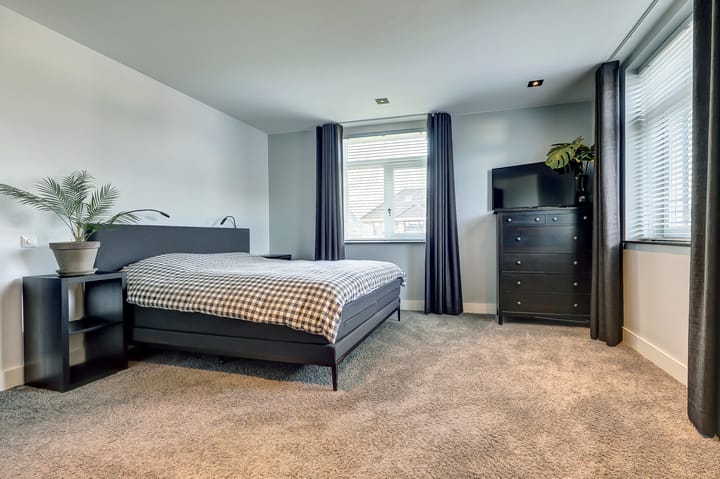 Foto 23 van Zilverkarper 4