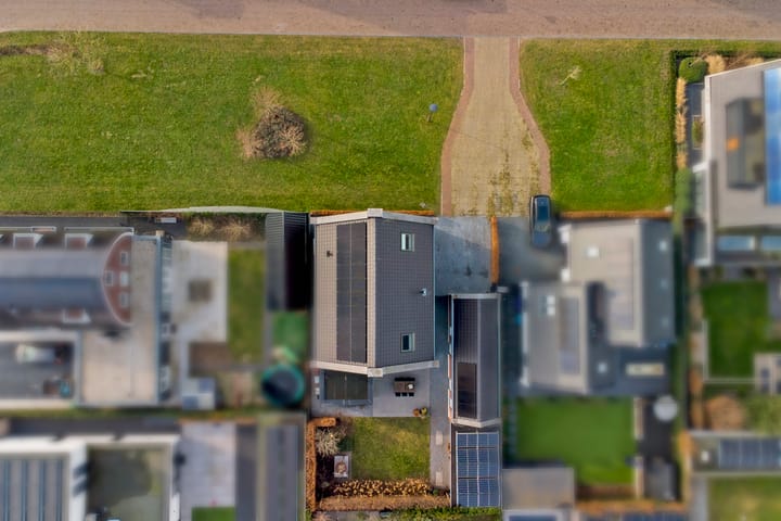 Foto 58 van Zilverkarper 4