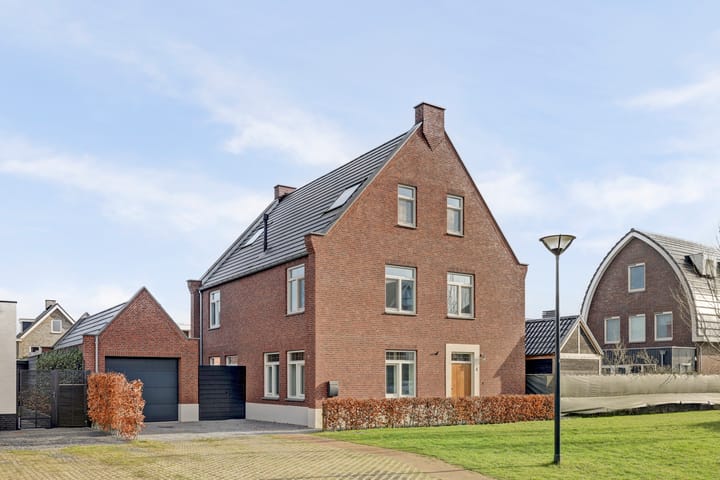 Foto 2 van Zilverkarper 4