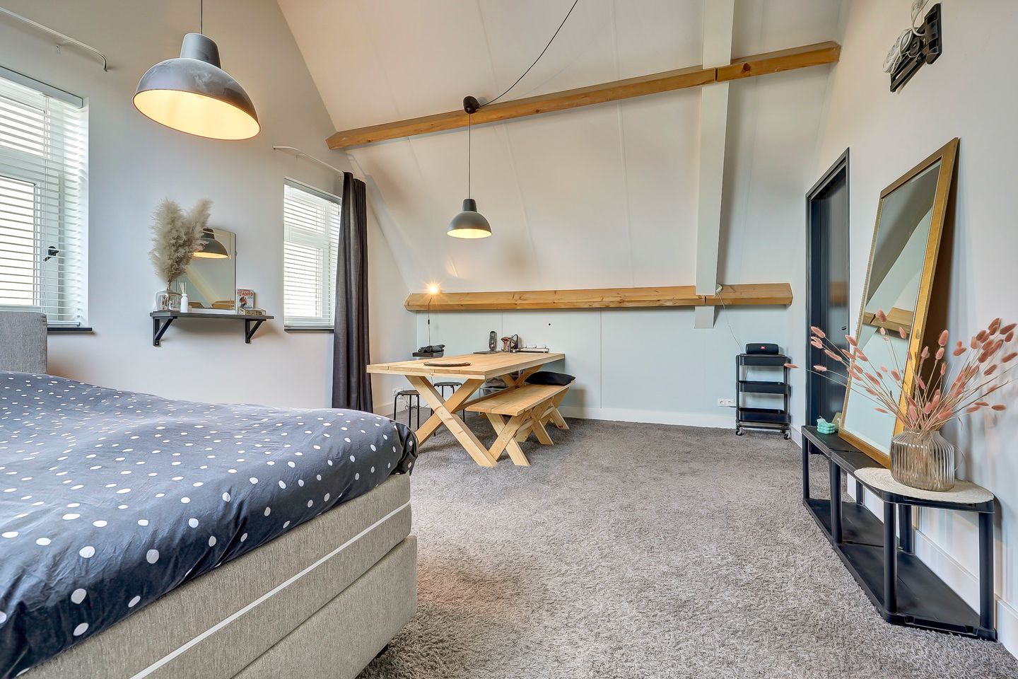 Foto 35 van Zilverkarper 4