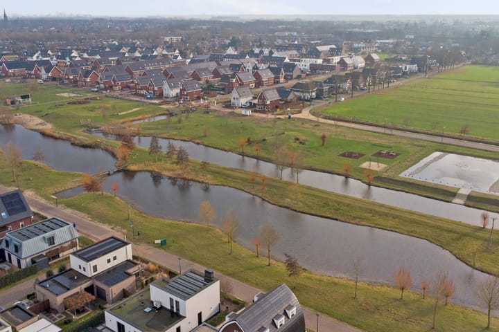 Foto 64 van Zilverkarper 4