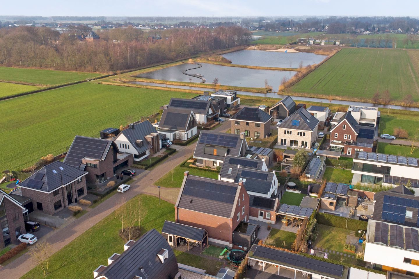 Foto 65 van Zilverkarper 4