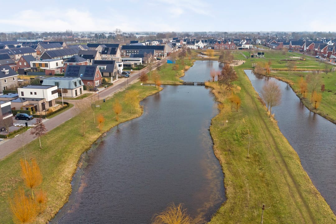 Foto 68 van Zilverkarper 4